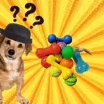 mental puzzle dog toys