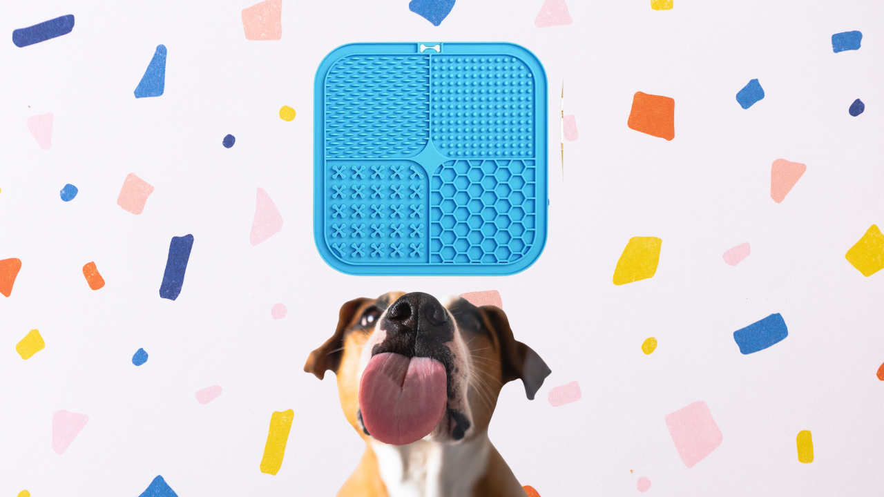 How Licking Mats For Dogs Help With Canine Health Doggo Sports